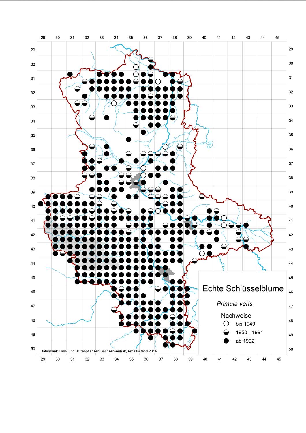 Rasterkarte Verbreitung der Echten Schlüsselblume, Auszug aus der Datenbank Blütenpflanzen, Teil Sachsen-Anhalt, des Landesamtes für Umweltschutz. Veröffentlichung mit freundlicher Genehmigung.