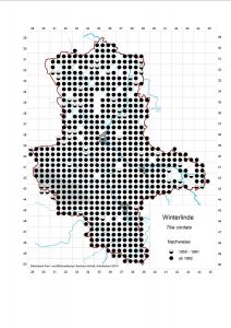 Rasterkarte Verbreitung der Winterlinde, Auszug aus der Datenbank Blütenpflanzen, Teil Sachsen-Anhalt, des Landesamtes für Umweltschutz. Veröffentlichung mit freundlicher Genehmigung.