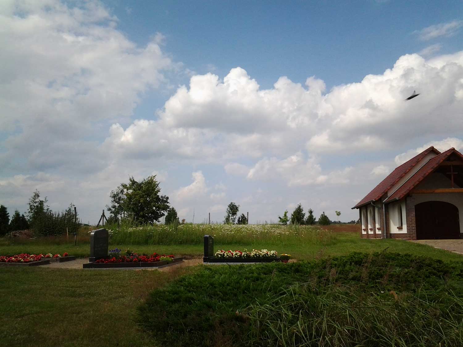Klassischer Friedhof mit Blühwiesenansaat im Hintergrund, Altmark; Foto: H.-J. Döring, Bildquelle: Lothar-Kreyssig-Ökumenezentrum