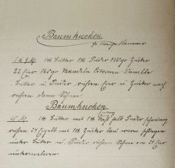 „Baum Kuchen“-Rezeptniederschriften des Johann A. C. D. Schernikow. (Ausschnitt). Archiv M. Lüders. 