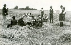 Vesper nach dem Abmähen des Vergodendelstraußes auf dem Roggenfeld des Bauern Heinrich Heymann in Jübar um 1910. Foto: Heinrich Heymann
