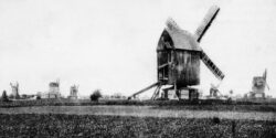Bild 2 Windmühlen bei Barby. Sammlung Henry Bergmann.