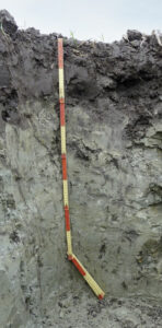 Ein Bodenprofil eines Pararendzina-Pelosol aus Tonstein des Mittleren Keuper östlich von Herrengosserstedt (Burgenlandkreis) als Beispiel für den Boden des Jahres 2022. Foto: Dr. Helbig (LAGB). 