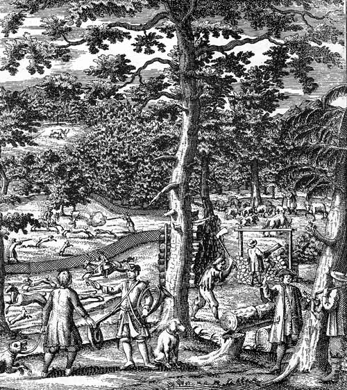 Forstnutzungen im 18. Jahrhundert, In: Beck, Johann Jodocus: „Tractatus de Jurisdictione Forestali, Von der Forstlichen Obrigkeit, Forst-Gerechtigkeit und Wildbann“, Nürnberg: Christoph Riegel, 1733. Archiv Bendix.